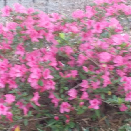 Spahn House Bed And Breakfast Senatobia Bagian luar foto
