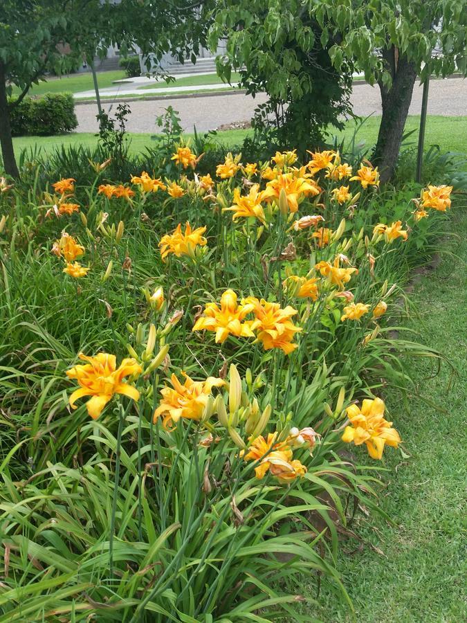 Spahn House Bed And Breakfast Senatobia Bagian luar foto